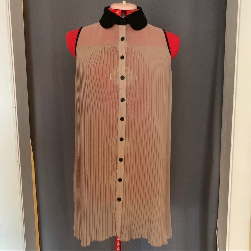 Sheer Silk Pleated Shirt/Dress